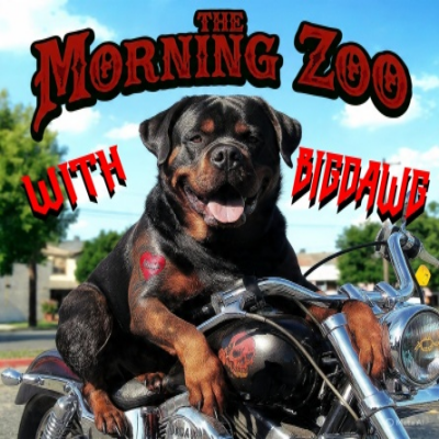 The Morning Zoo — BIGDAWG